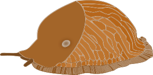 Sākums