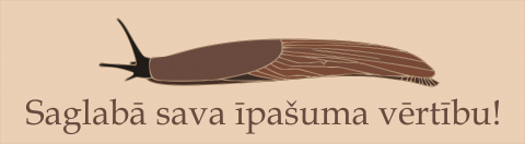 Saglabā sava īpašuma vērtību!